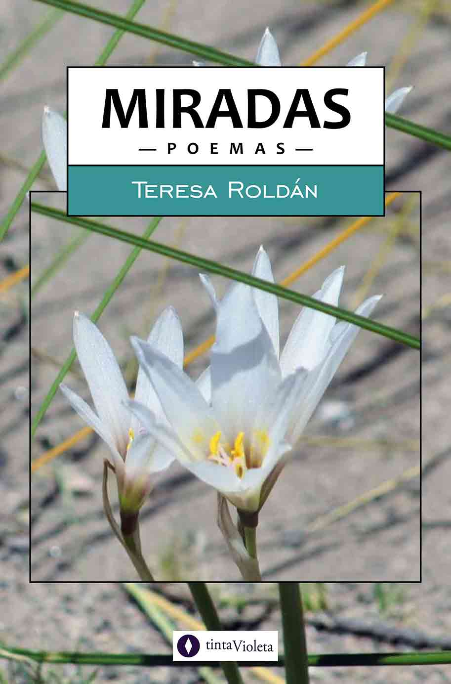 E-book Miradas de Teresa Roldán